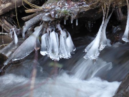 Eiswanderung im Marienforster Tal