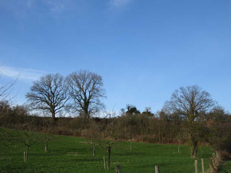 Spaziergang im Wachtberger&nbsp;Ländchen