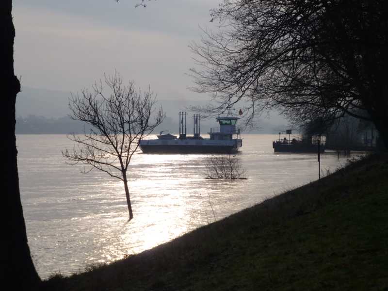 Unterwegs in Mehlem