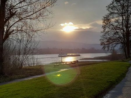 Gute Lichtverhältnisse in der&nbsp;Deichmannsaue