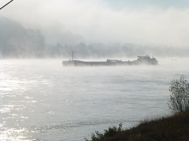 Wenn Nebel aus dem Flusse steigt