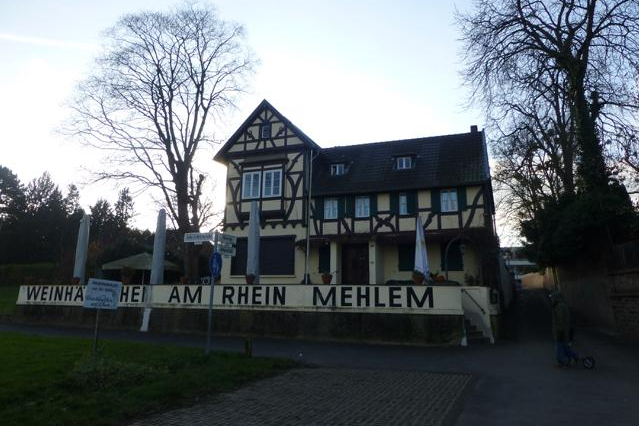 Hochwasserhundespaziergang in Mehlem