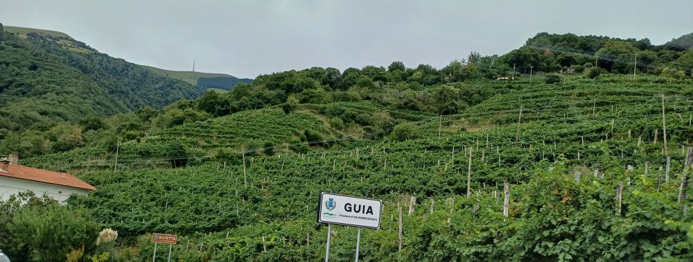 Die Fälle, Prosecco und MIS