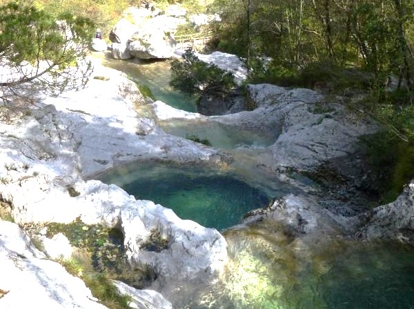 Die Fälle, Prosecco und MIS