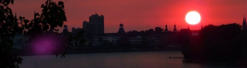 Schöne Schnappschüsse von meinen Spaziergängen