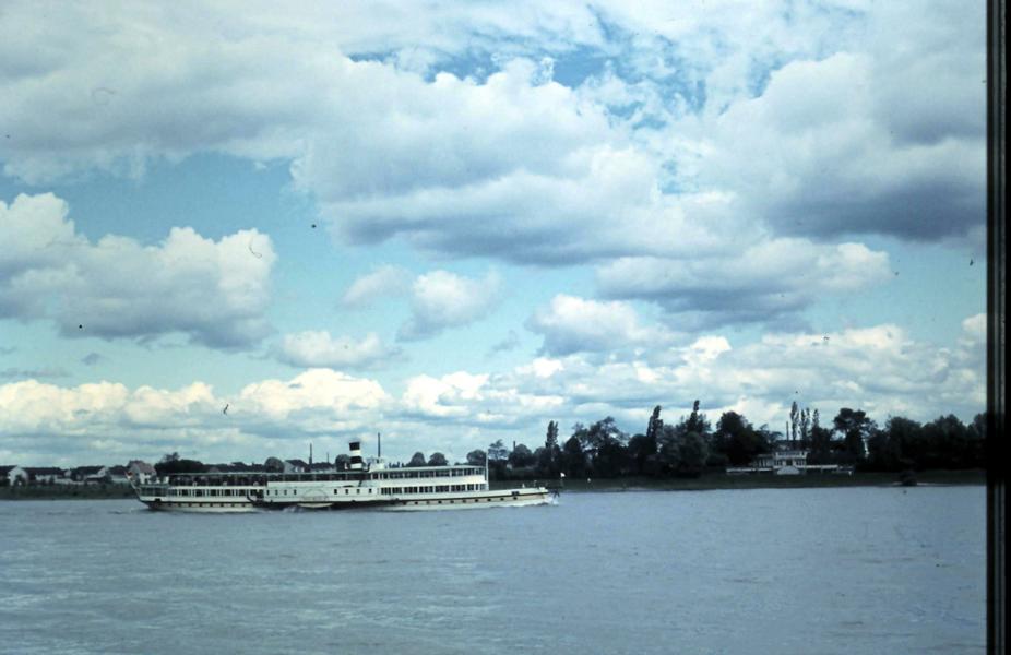 Schöne Schnappschüsse von meinen&nbsp;Spaziergängen