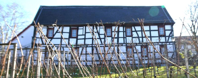 Per Rad durch Bad Godesberg