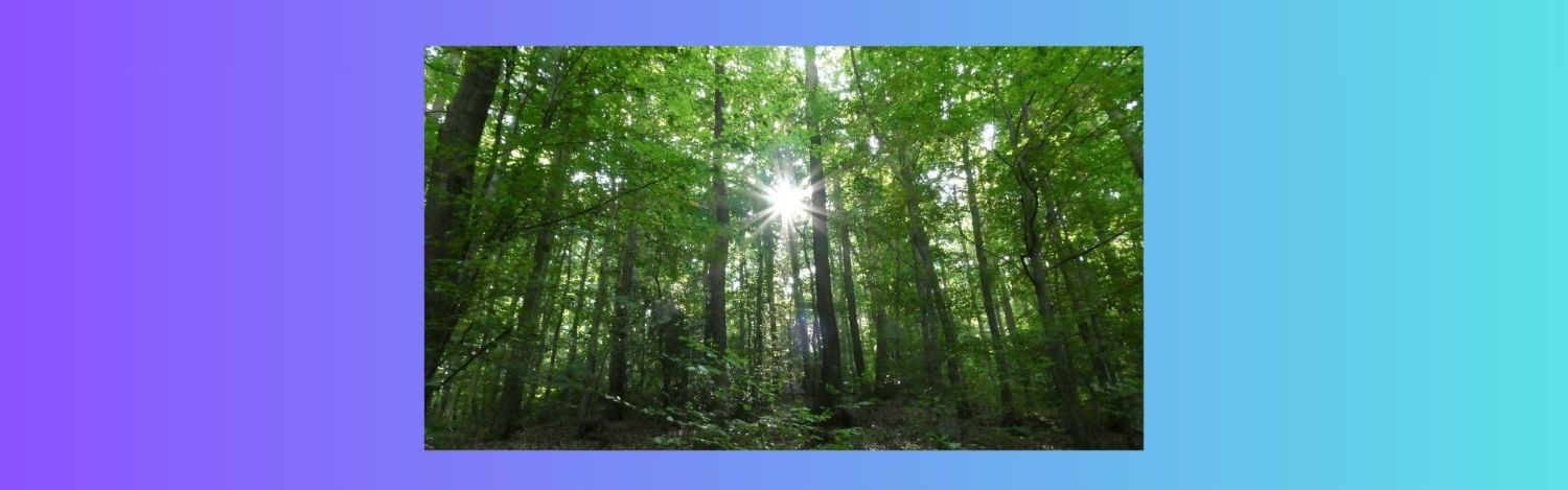 Spätsommer im Kluftertal